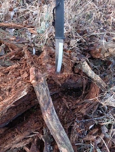 Customer photo review of Tactical Tanto Knife