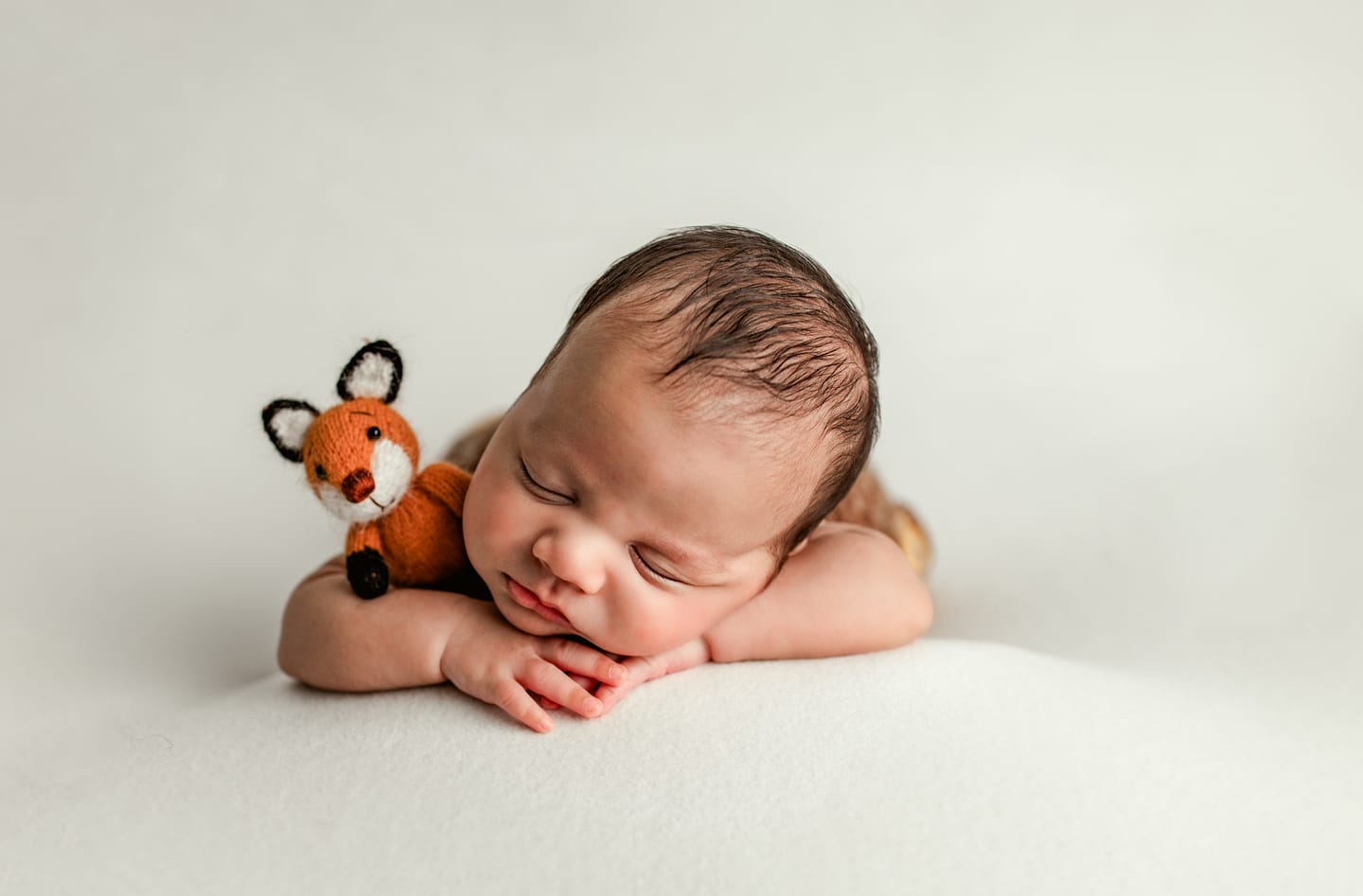 Customer photo review of little fox Lightroom Presets
