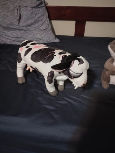 Customer photo review of Toothy Cow Plushie