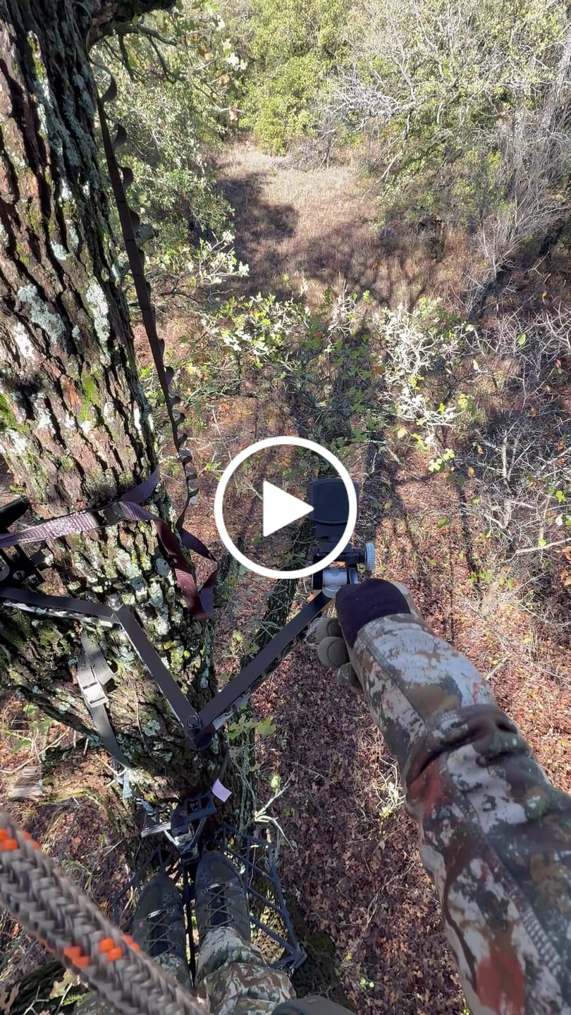 Customer video review of CAMERA ARM
