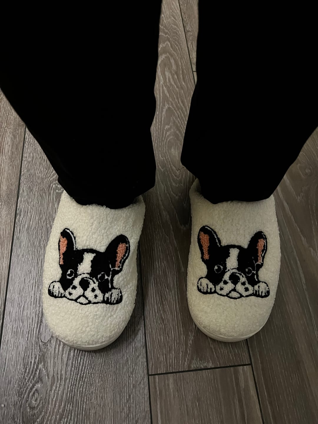 Customer photo review of Boston Terrier Slippers