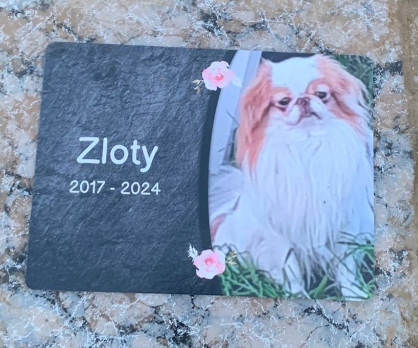 Customer photo review of Hunde Gedenktafel mit Foto & Spruch (UV- & Wetterfest)