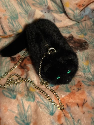 Customer photo review of Black Cat Purse with Green Eyes, Handbag or Shoulder Bag