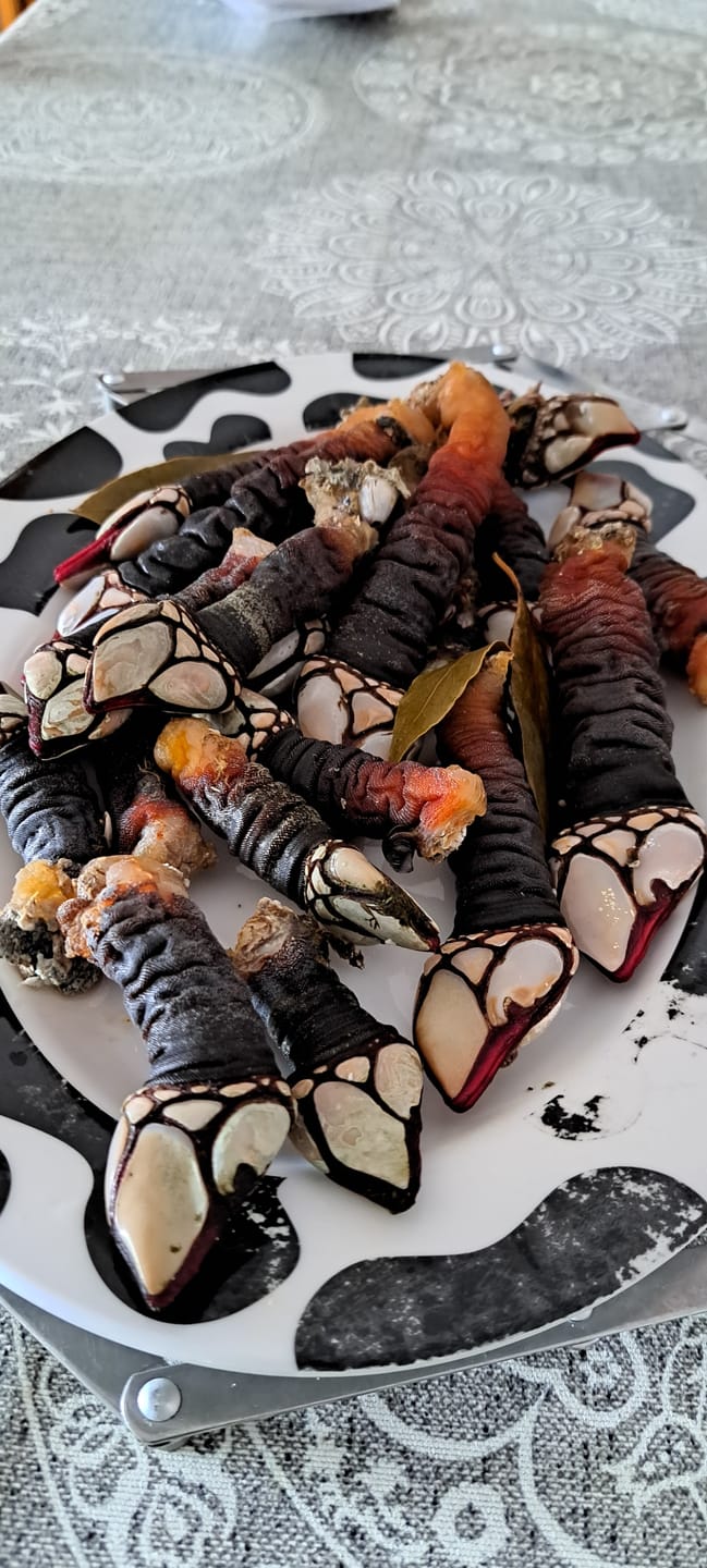 Customer photo review of Percebe