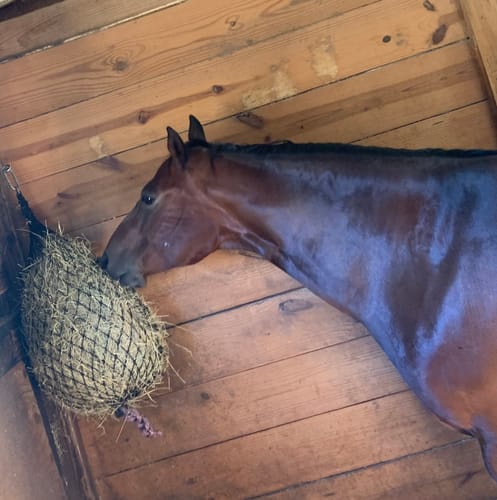 Customer photo review of Hay Chix® Half Bale Net