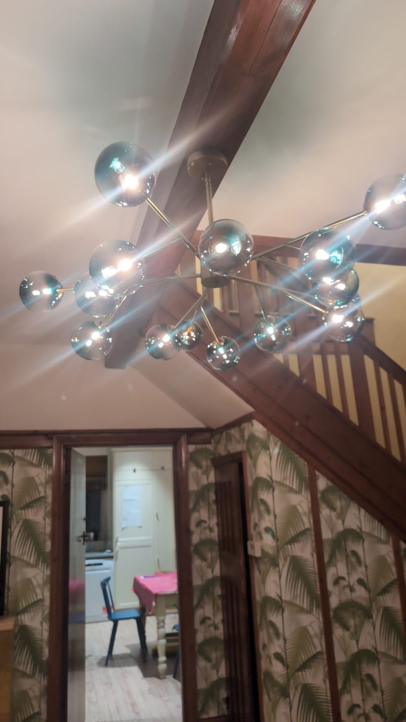 Customer photo review of 15-Light Blue Branch Sputnik Chandelier