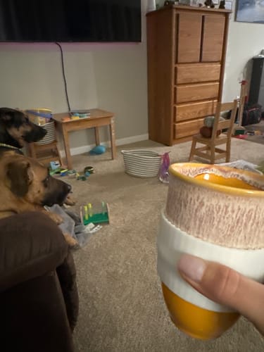 Customer photo review of Grapefruit Cup