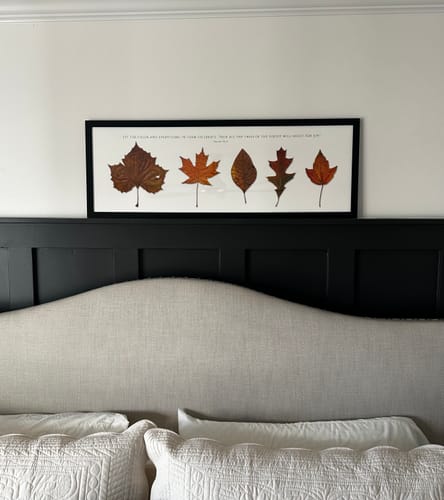 Customer photo review of 12x36 Mounted Prints