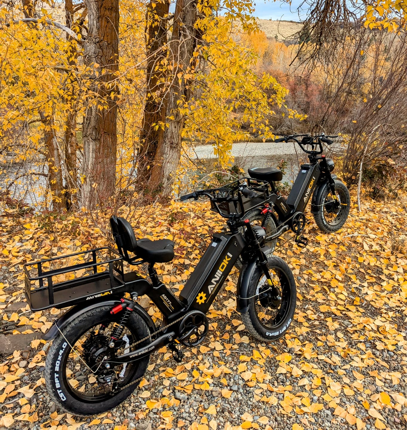 Customer photo review of AQ177 Pro Max Dual Motor Ebike
