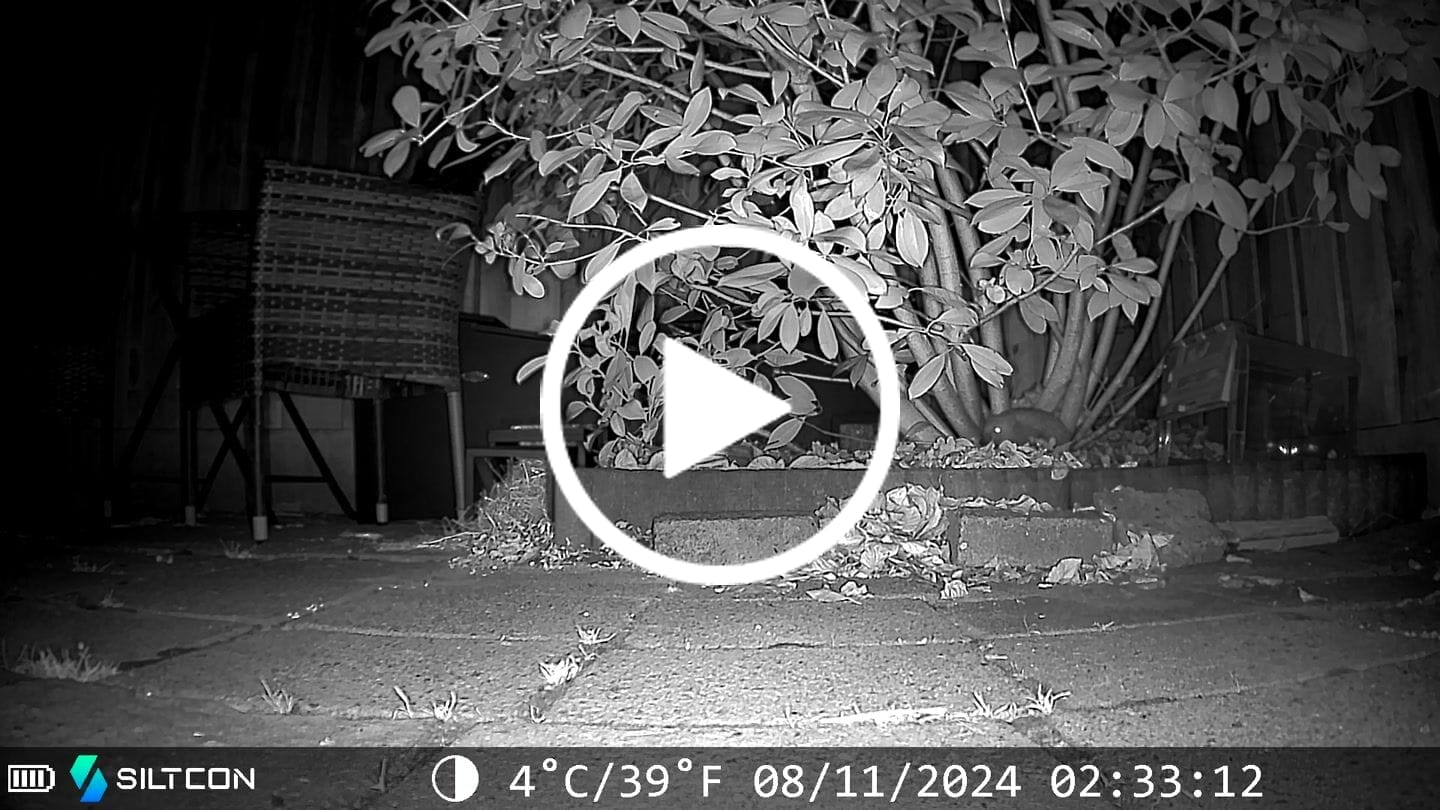Customer video review of Siltcon® Wildcamera Nachtzicht en wifi 4K