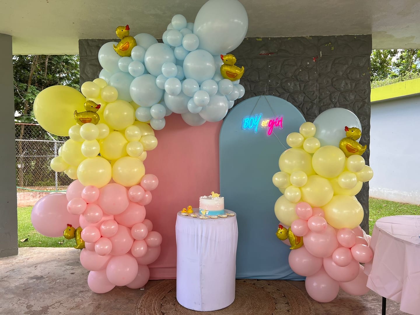 Customer photo review of Chiara Backdrop Wall Set, Arched Wall Set Birthday&Baby Shower&Wedding Party Decoration
