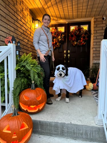 Customer photo review of Biothane Traffic Handle Dog Leash