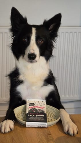 Customer photo review of Lick Bowl (Beige)