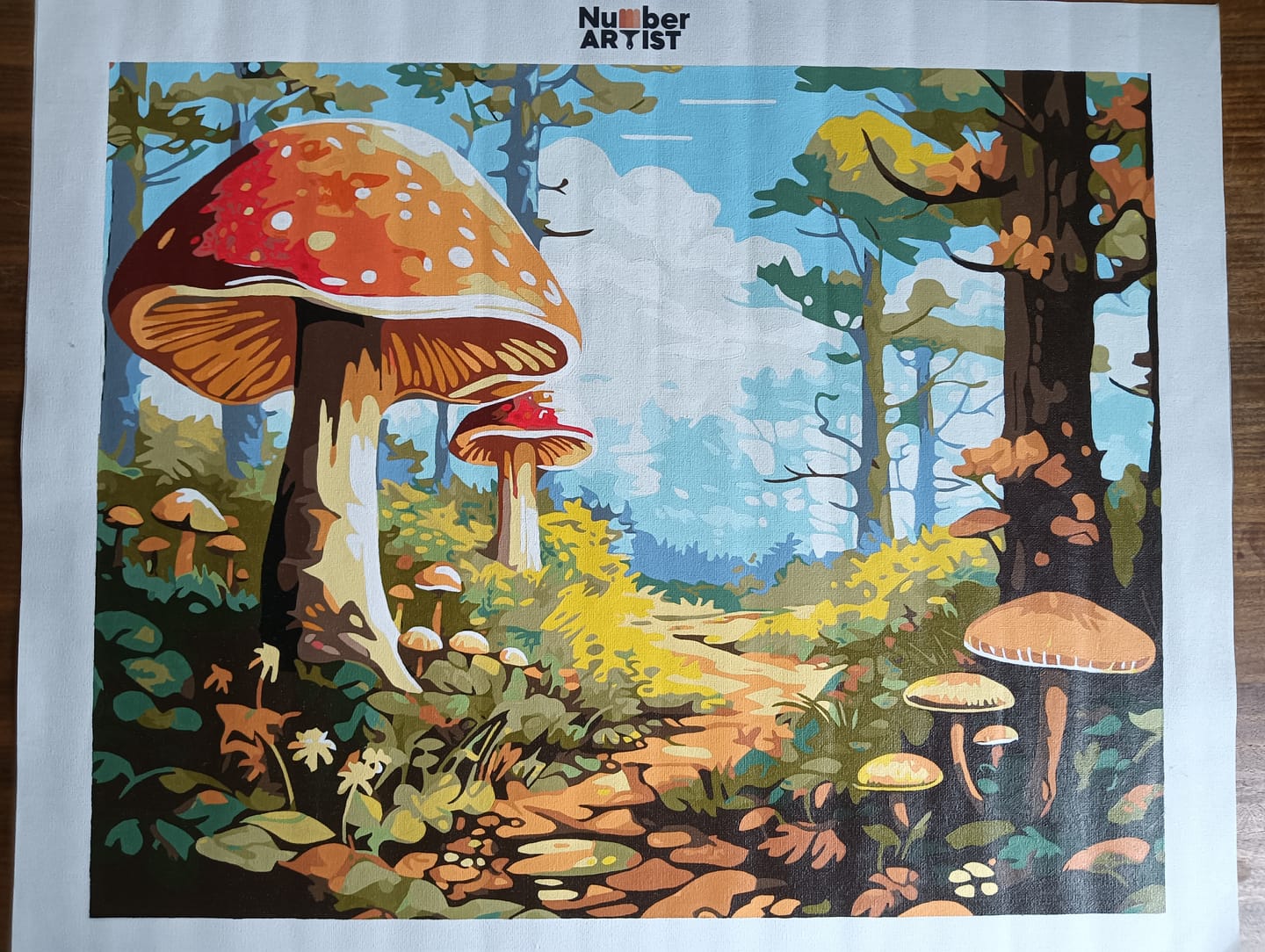 Customer photo review of Enchanted Forest Trail