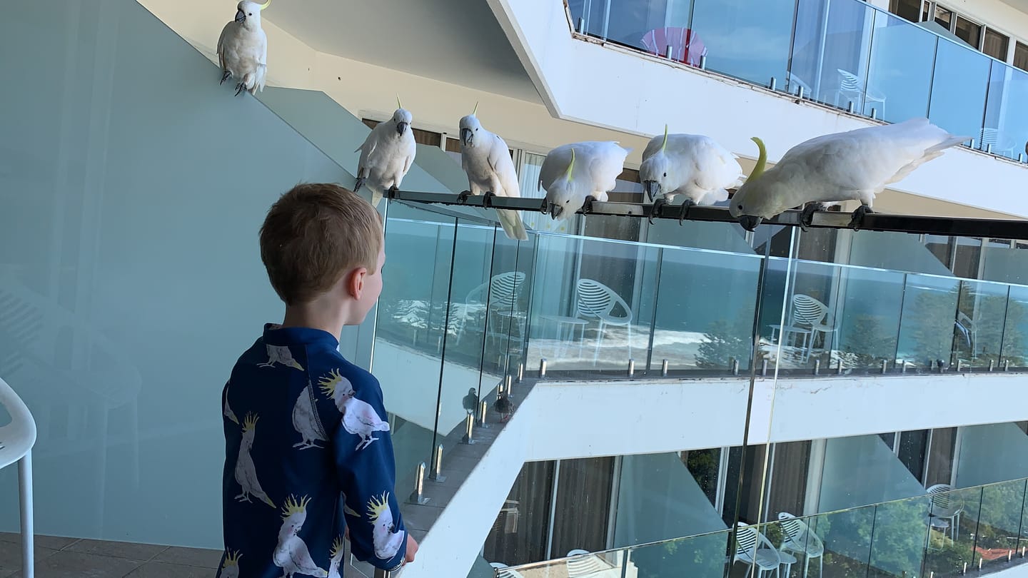 Customer photo review of Navy Cockatoo Kids' Rash Top
