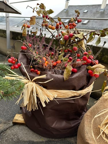 Customer photo review of Thermo Topfschutz L für Pflanzenüberwinterung H 50 cm x Ø 45 cm