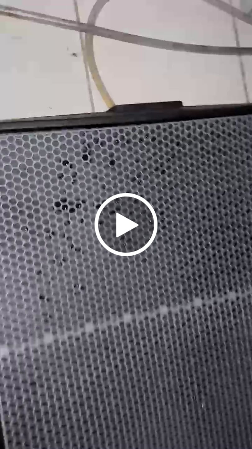 Customer video review of Parede Hidrante