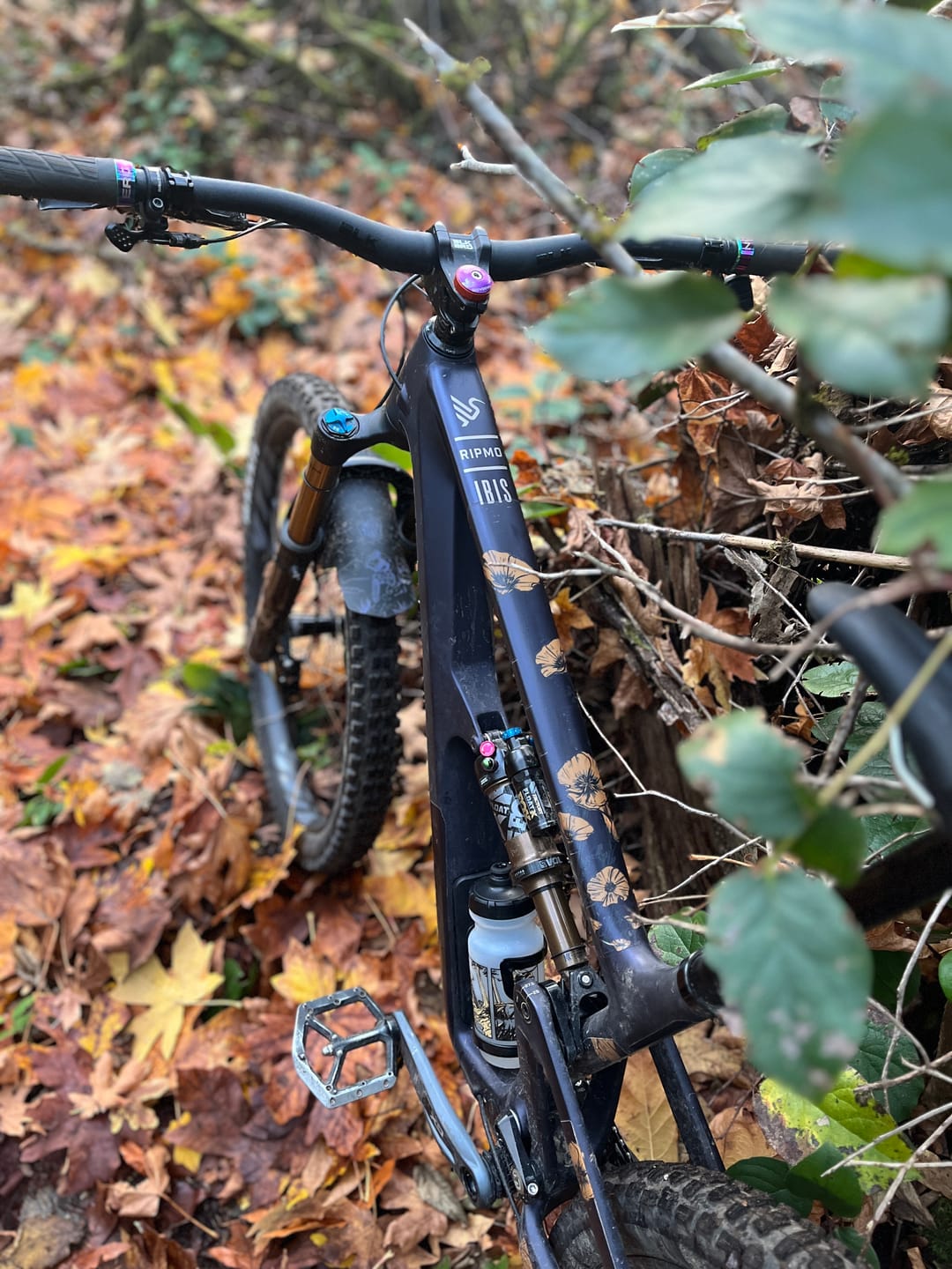 Customer photo review of Custom Frame Keeper