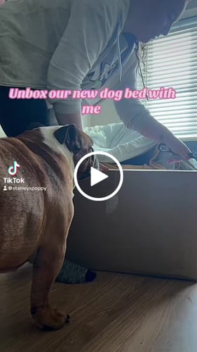 Customer video review of Disney© Dog Bed - Piglet