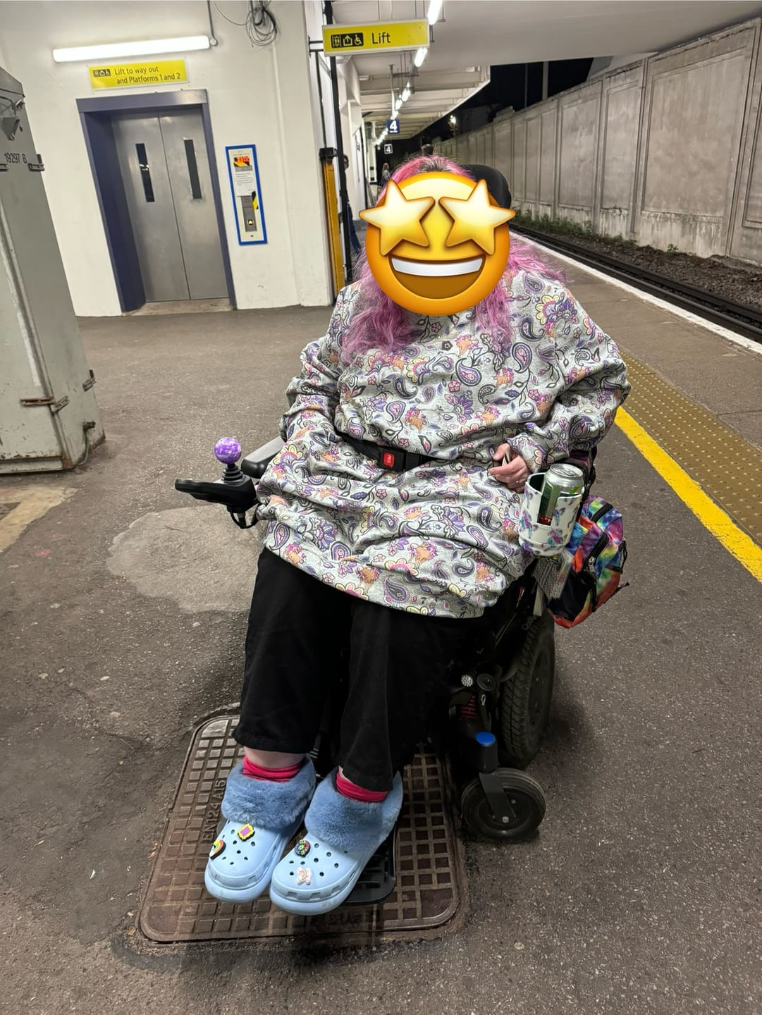 Customer photo review of Unicorns and Paisley Sweatshirt Fabric