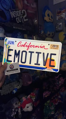 Customer photo review of CALIFORNIA COASTLINE LICENSE PLATE 6"x12" (156.5mm x 305mm)