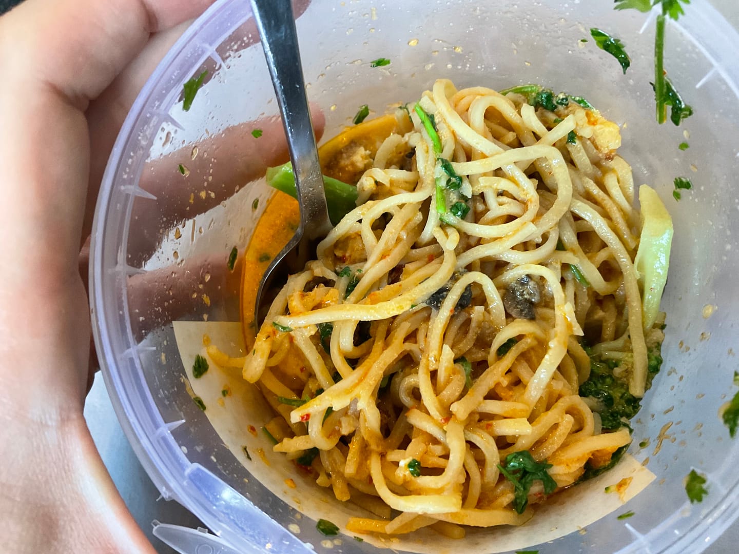 Customer photo review of Laksa Noodle with Fried Puff Tofu