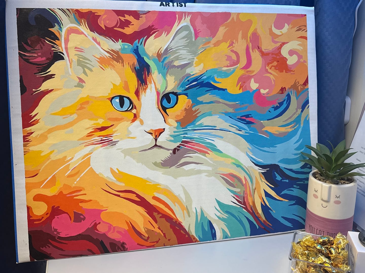 Customer photo review of Cat Rainbow