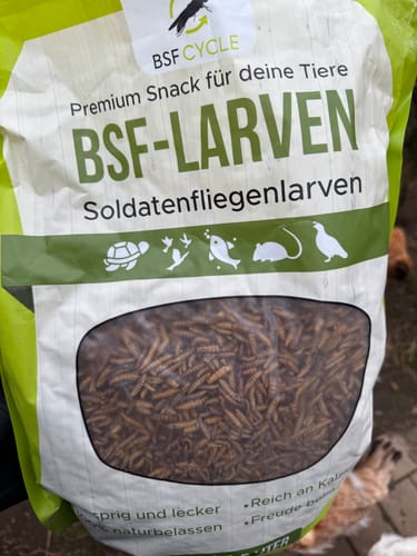Customer photo review of BSF Larven - getrocknete Soldatenfliegenlarven