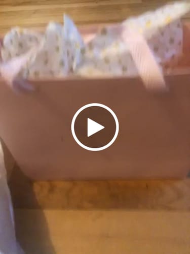 Customer video review of The Kate Bag