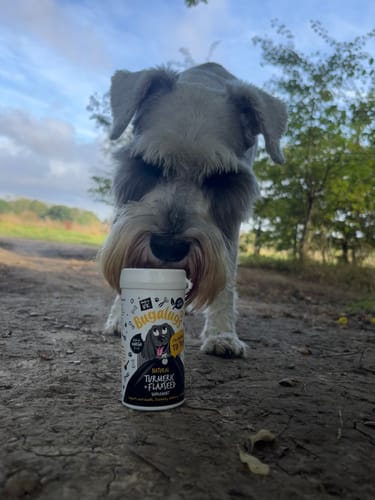 Customer photo review of Natural Turmeric & Flaxseed Powder Supplement for Dogs (70g)