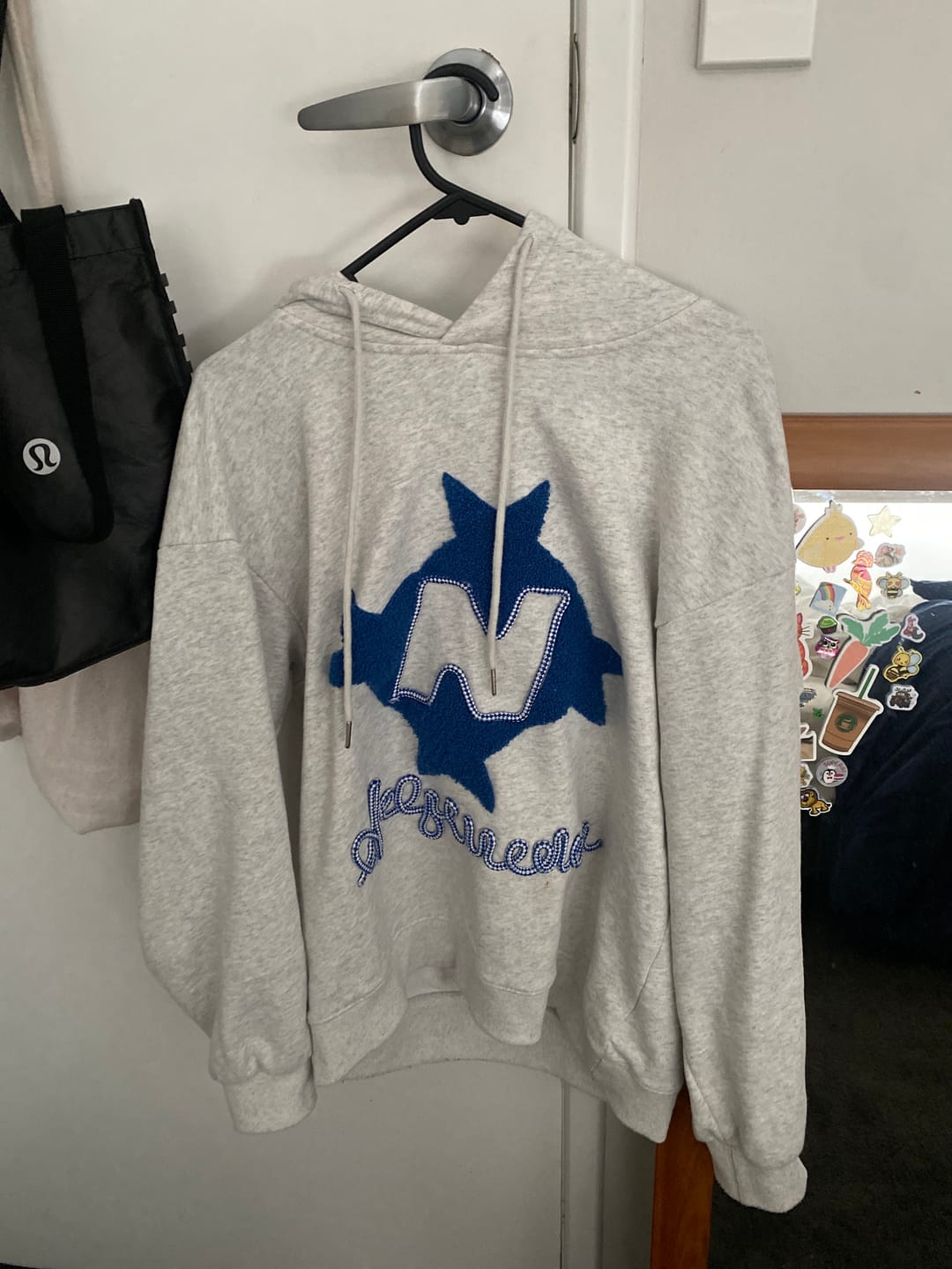Customer photo review of Aelfric Eden Stellaris Embroidered Hoodie