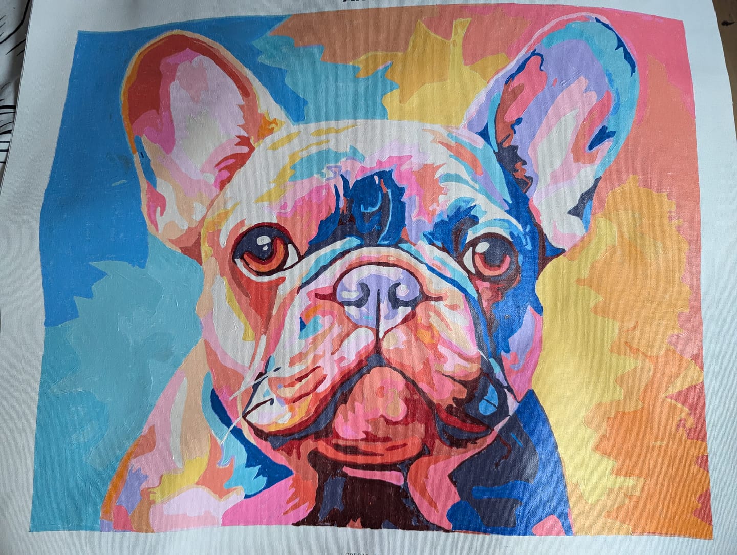 Customer photo review of Frenchie's Soul