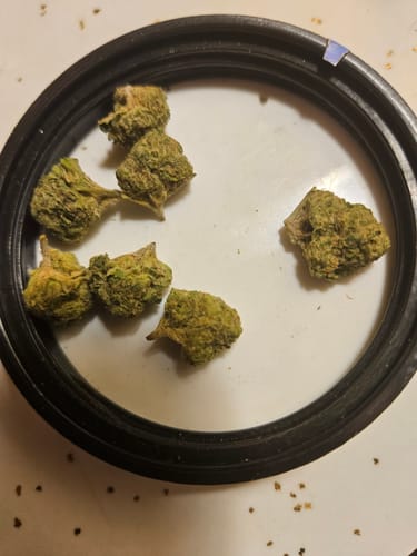 Customer photo review of Skywalker OG - Greenhouse THCA (Smalls)