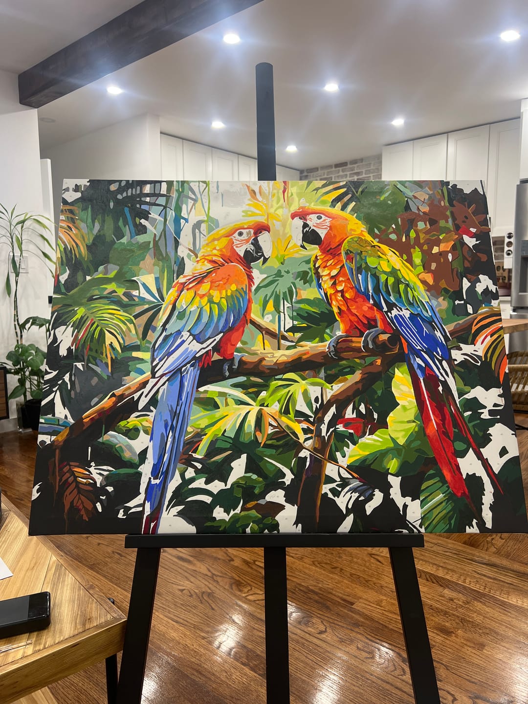 Customer photo review of Macaw Pair