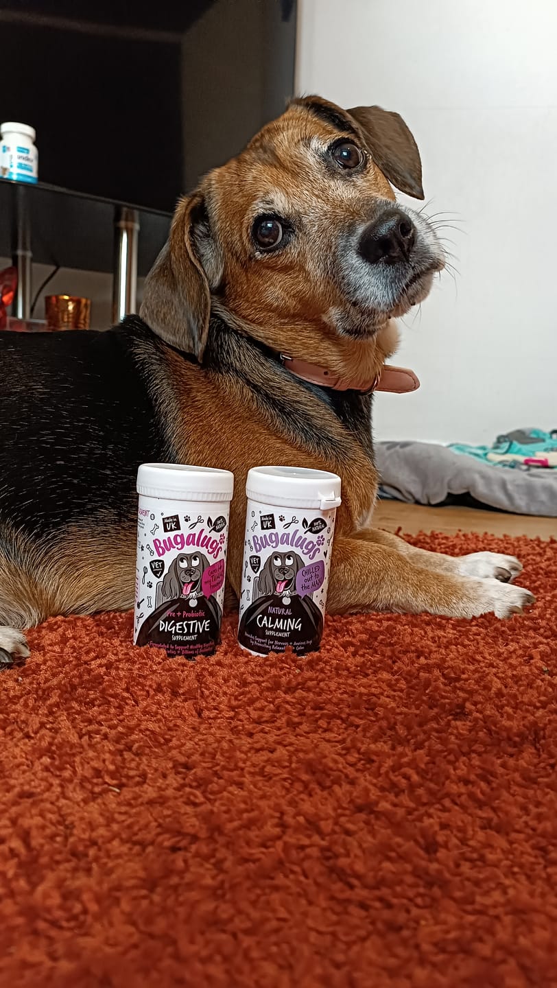 Customer photo review of Pre & Probiotic Digestive Supplement Powder for Dogs (80g)