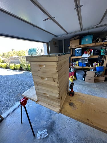 Customer photo review of BeeCastle Hives Natural Hive 10 Frame 3 Layer:Crafted with 2 Deep Cedarwood Boxes and 1 Cedarwood Super Box,Including Premium Wooden Frames and Beeswax Plastic Foundation.