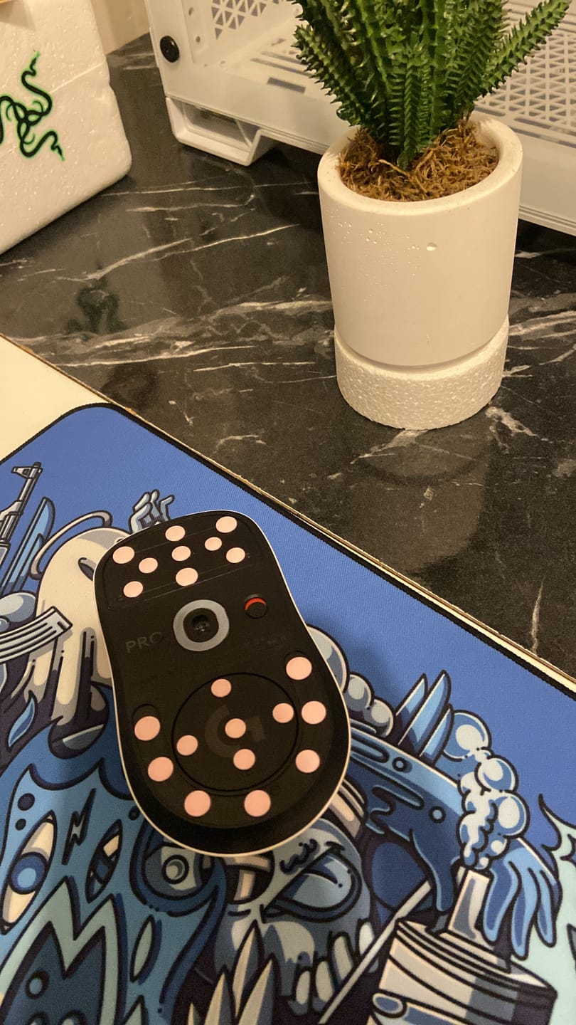 Customer photo review of ESPTiger Yanzi Pink Mouse Skates