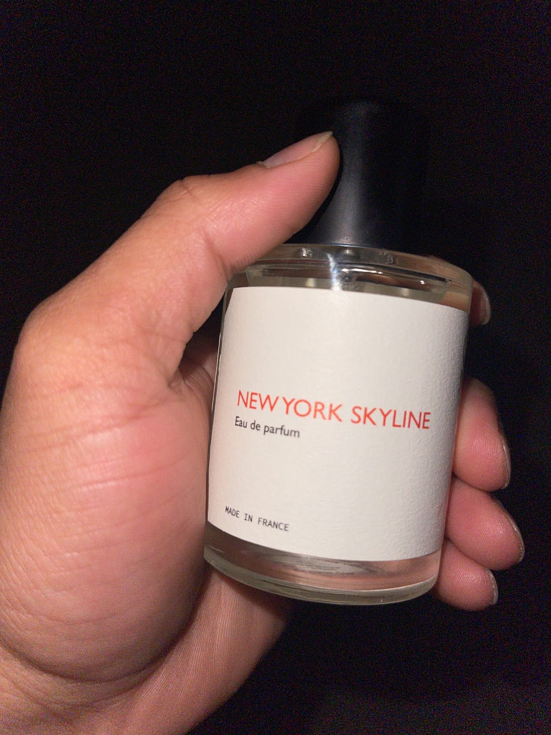 Customer photo review of New York Skyline