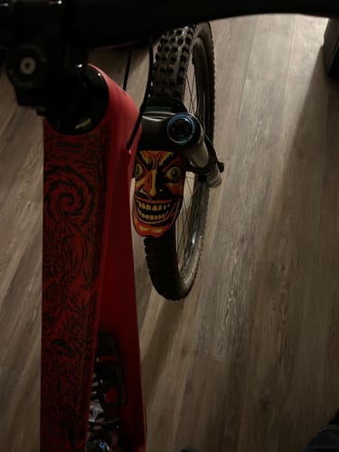 Customer photo review of Dirt Devil Limited Edition Fender