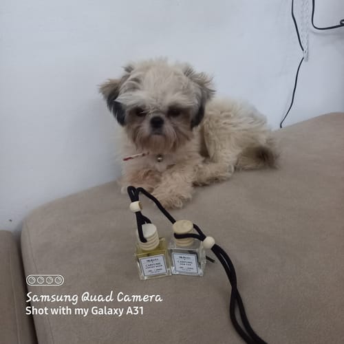 Customer photo review of Mi Amore! PREMIUM CAR HANGING DIFFUSER 10ML