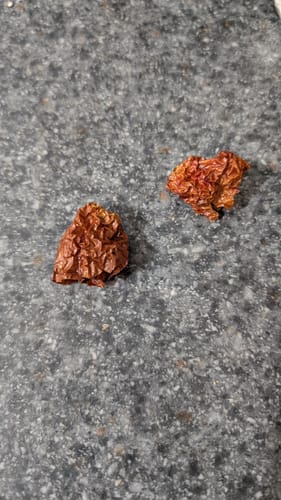 Customer photo review of Ghost Peppers (Bhut Jolokia)