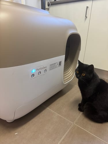 Customer photo review of Self-Cleaning Litter Box
