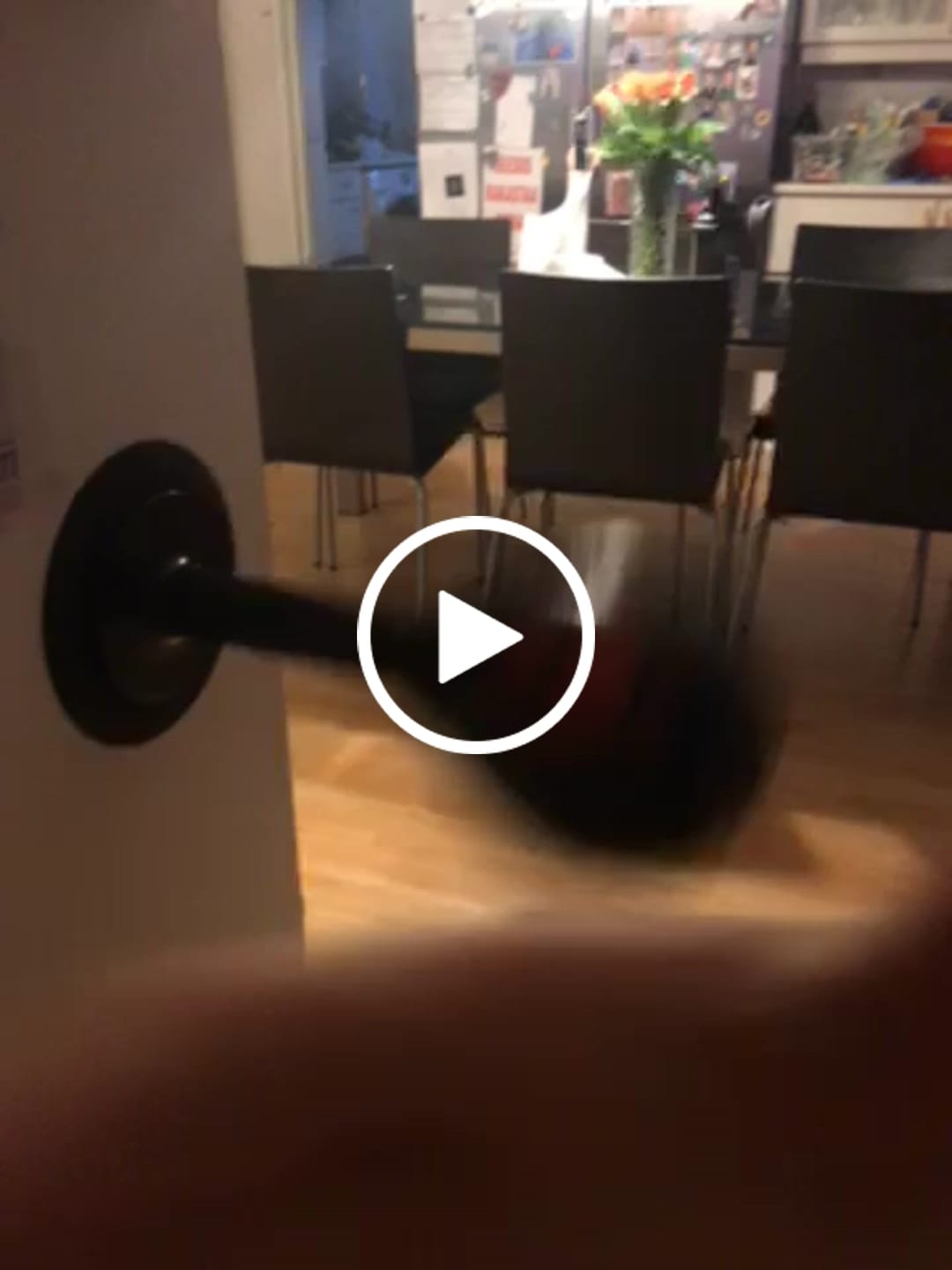 Customer video review of Sparta Punch Bag