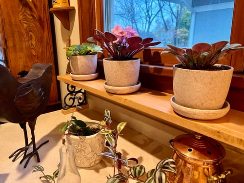 Customer photo review of 5" Upcycled Mini Planters
