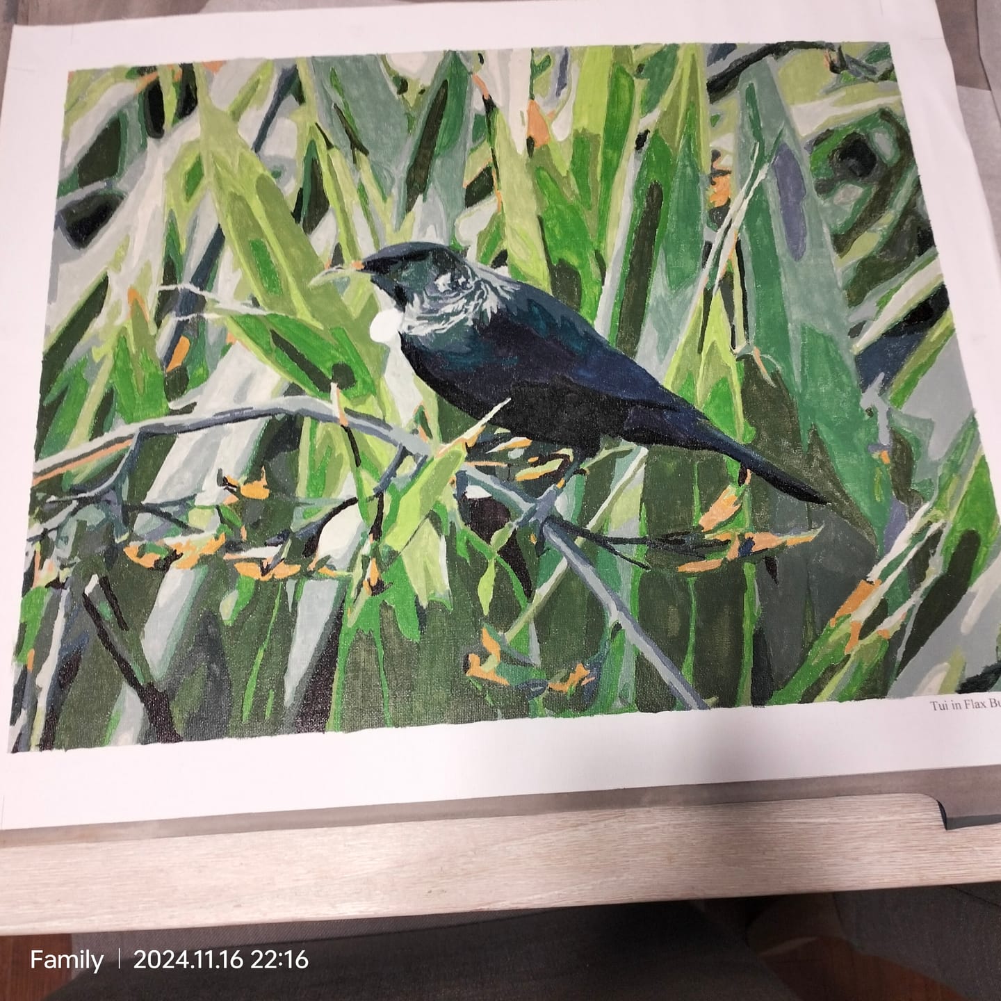 Customer photo review of Tui in Flax Bush
