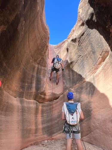 Customer photo review of Guide 50L