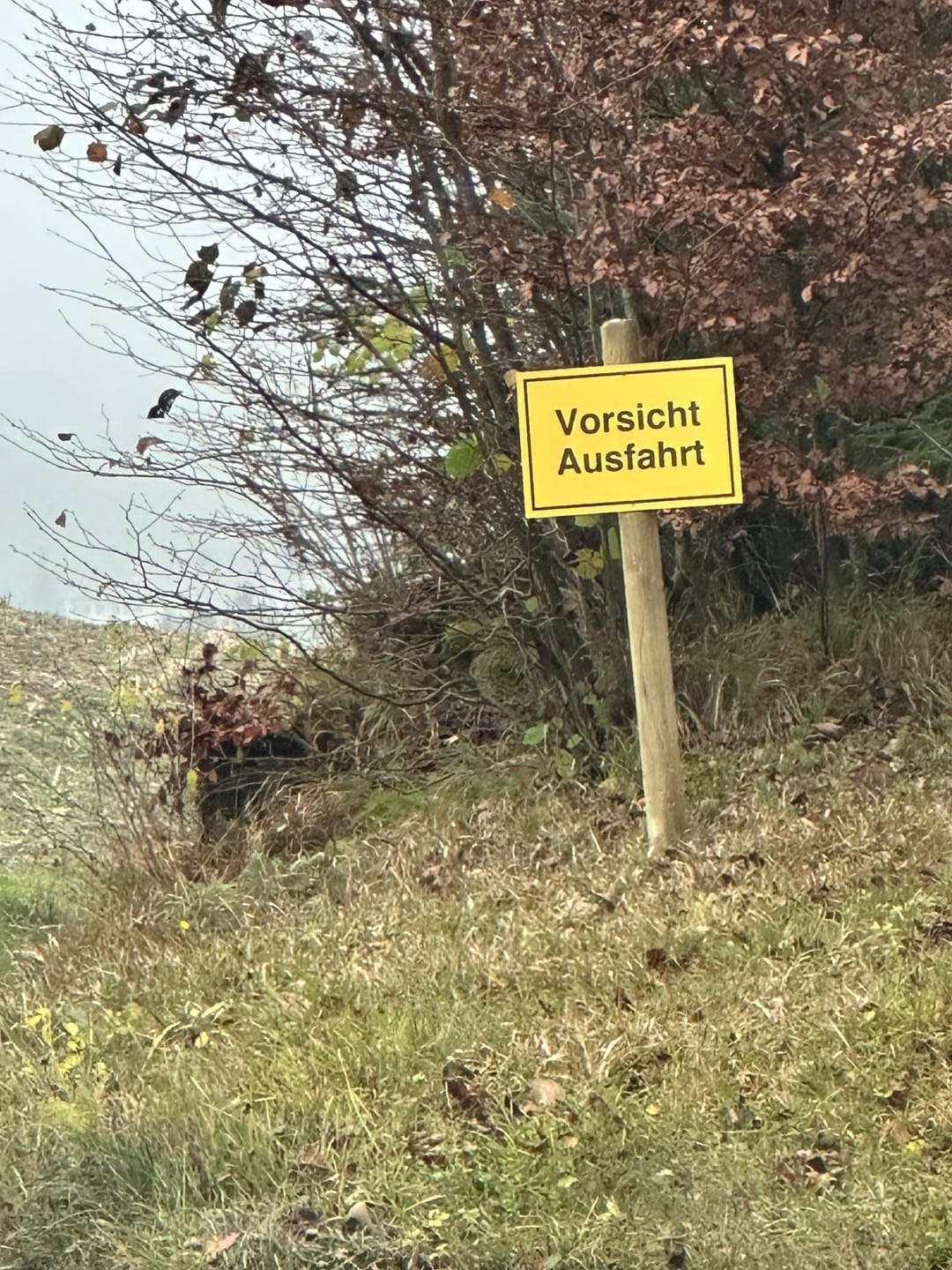 Customer photo review of Vorsicht Ausfahrt Schild oder Aufkleber | Alu-Verbund oder Selbstklebefolie | Gelb | Rechteck | Querformat