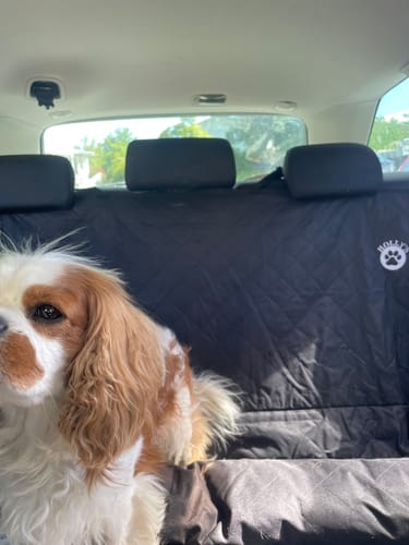 Customer photo review of Car Seat Cover