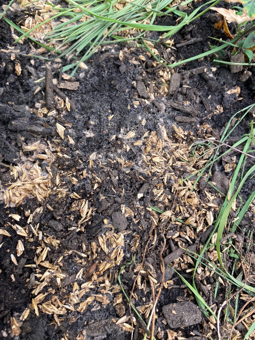 Customer photo review of BierKashi Bokashi 5 to 50 lbs
