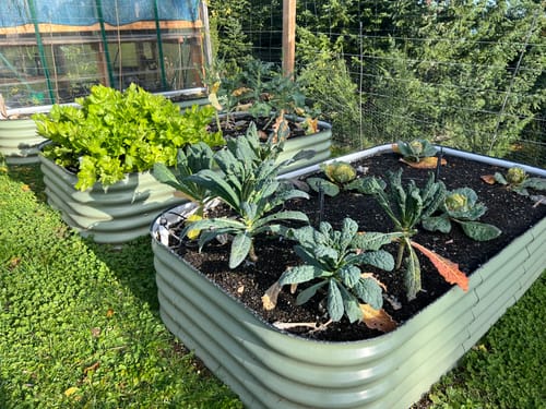 Customer photo review of 17” Tall Modular 9 in 1